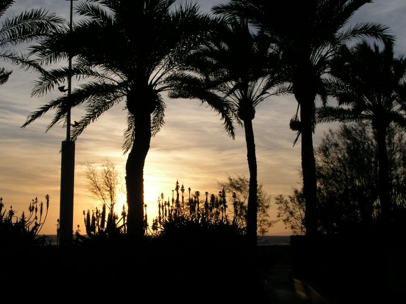 Sonnenuntergang auf Mallorca