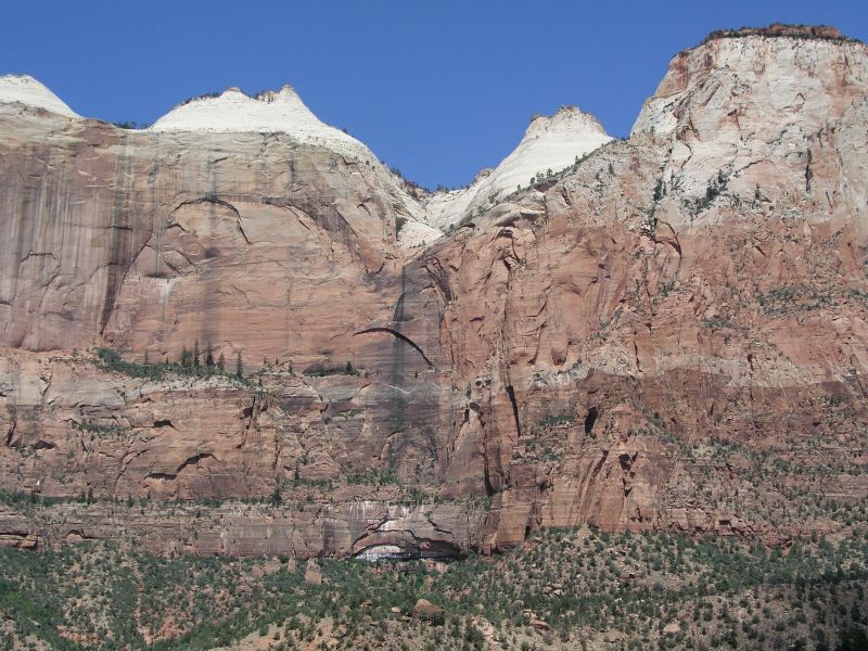Die riesigen Steilwände im Zion National Park in Utah