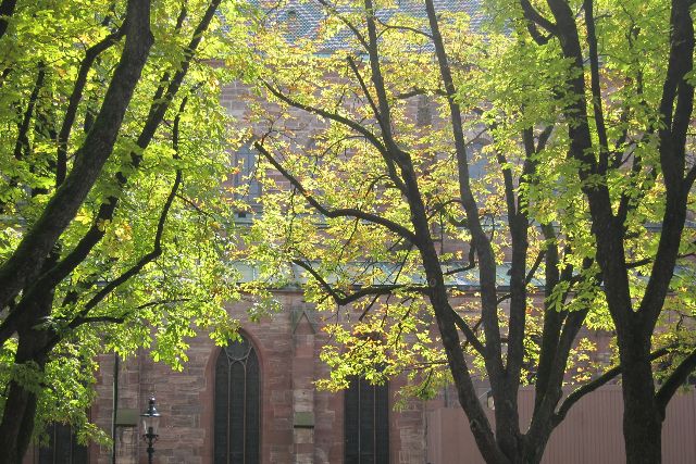 Basel, ein attraktives Reiseziel