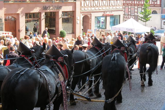 Hermann-Hesse-Stadt Calw