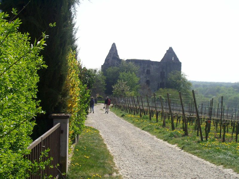 An der Stadtmauer in Burkheim