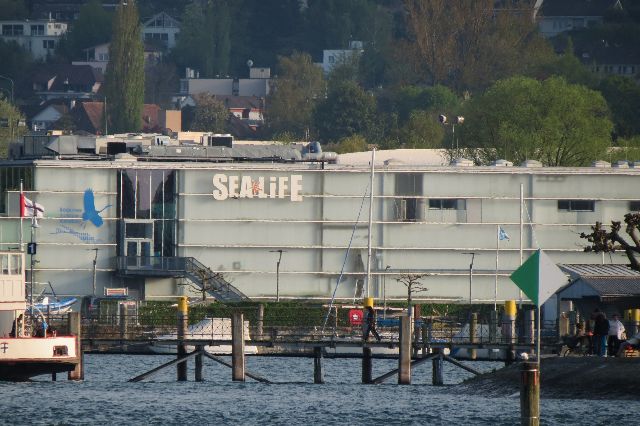 Konstanzer Bucht - Konstanz am Bodensee