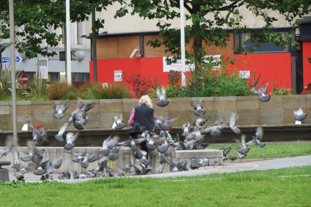 Manchester Piccadilly Gardens