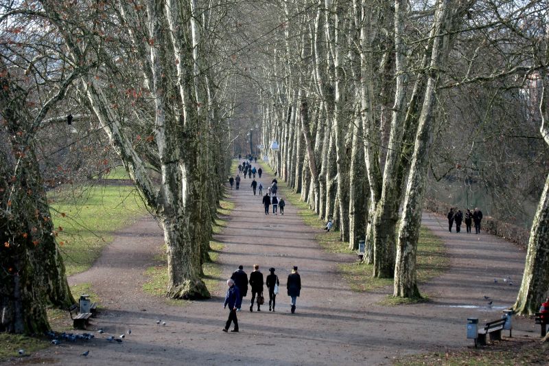 Tübingen 2014