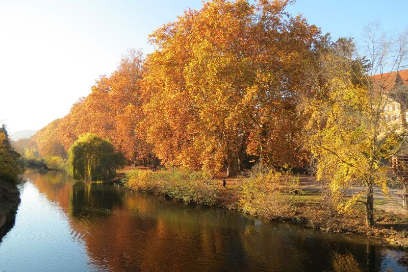 Tübingen 2015