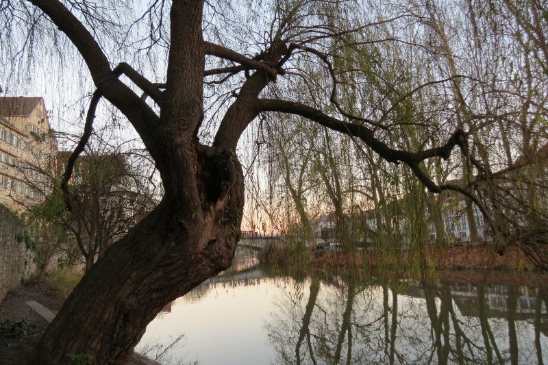 Tübingen 2015