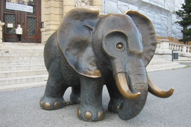 Wien, Naturhistorisches Museum, 2014