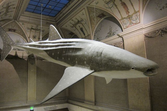 Wien, Naturhistorisches Museum, 2014